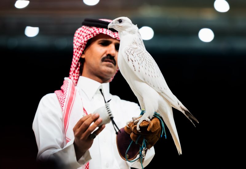Falcon Sells for 1.3 Million Riyals at Riyadh Auction