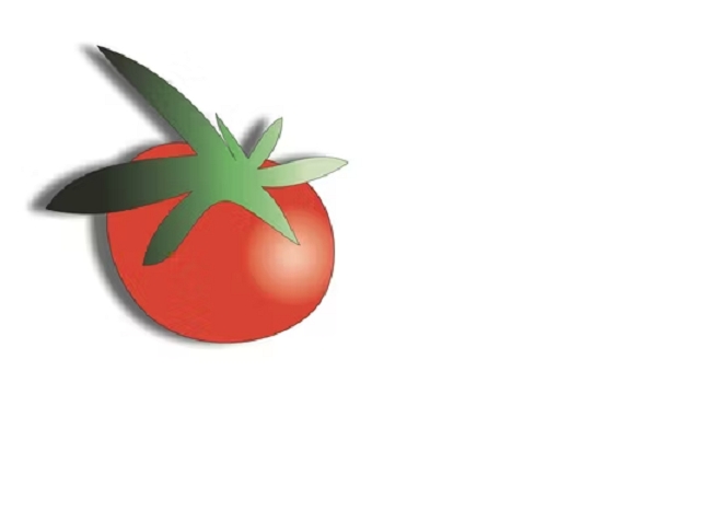 Organic Dough and Scratch Kitchen Standards Help The Tomato Shack Stand Out for Top Pizza in Philadelphia